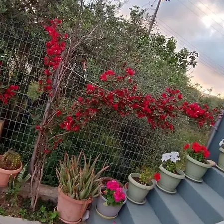Holiday home Marilidia House *